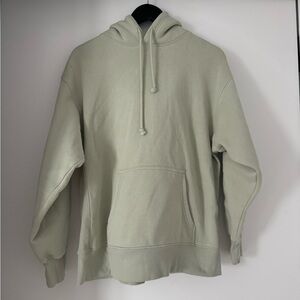 Tna Cozy Fleece Boyfriend Hoodie in Sage
